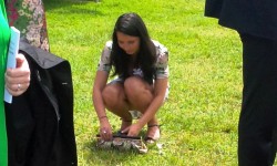 tracing people Dorset bournemouth & poole